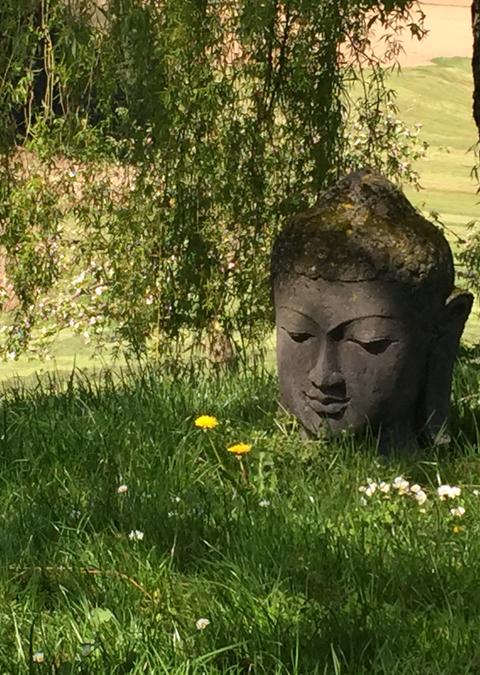 Buddhakopf in Eisenbuch